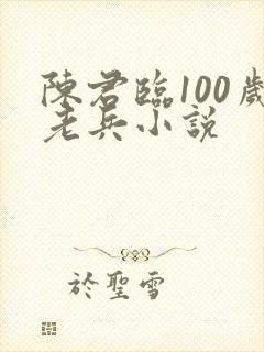 陈君临100岁老兵小说