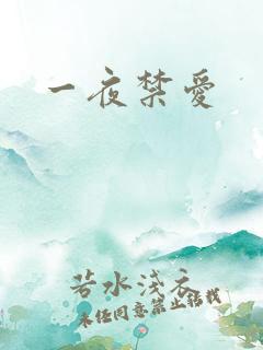 一夜禁爱