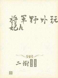 将军野外玩弄贵妃h