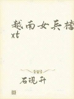 越南女兵档案txt