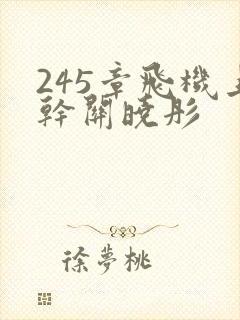 245章飞机上干关晓彤