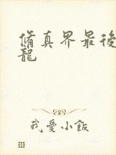 修真界最后一条龙