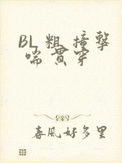 BL 粗 撞击 喘 贯穿