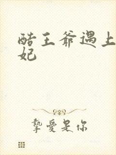 酷王爷遇上穿越妃