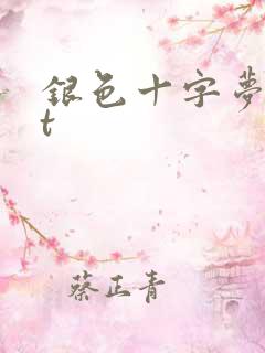 银色十字梦txt