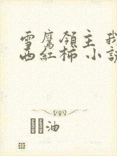雪鹰领主 我吃西红柿 小说