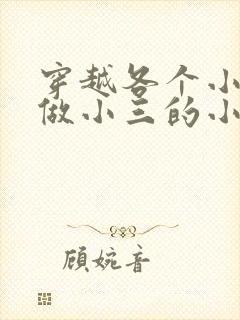 穿越各个小世界做小三的小说