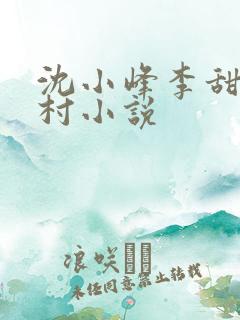 沈小峰李甜的乡村小说
