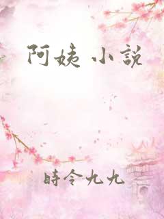 阿姨 小说