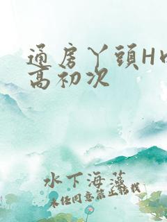 通房丫头H肉辣高初次