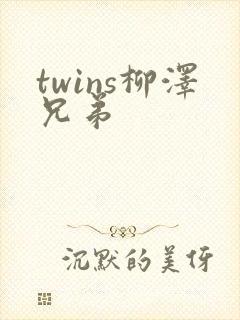 twins柳泽兄弟