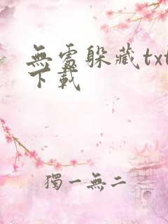 无处躲藏txt下载