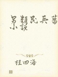 另类民兵葛二蛋小说