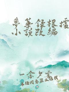 梦华录根据什么小说改编