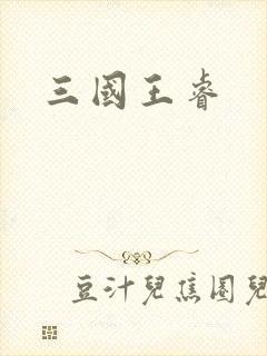 三国王睿