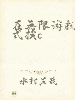 在无限游戏里花式挨c