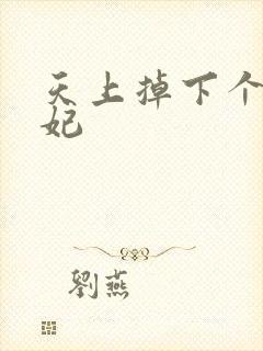 天上掉下个奇王妃