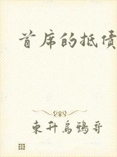 首席的抵债新娘