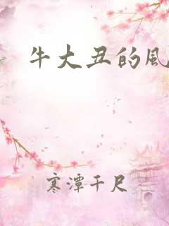 牛大丑的风流记