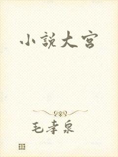 小说大宫