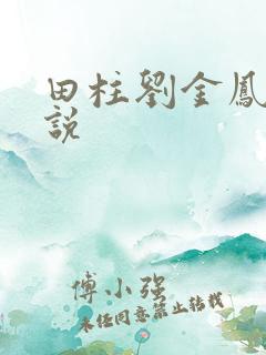田柱刘金凤的小说
