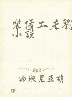 装修工老刘林雪小说