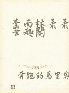 李南林素素小说笔趣阁