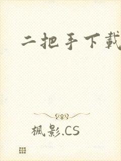 二把手下载