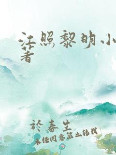 江照黎明小说原著