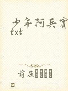 少年阿兵宾小说txt