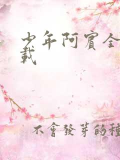 少年阿宾全集下载