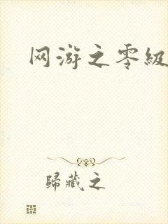 网游之零级神话