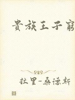 贵族王子穷公主