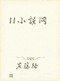 11小说网