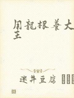 用龙根养大的公主