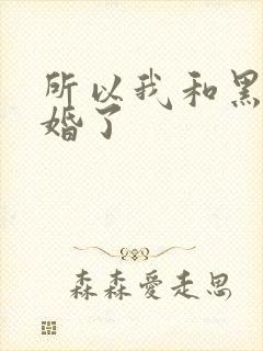 所以我和黑粉结婚了