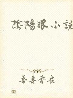 阴阳眼小说