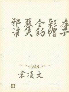 邪恶全彩存在感消失的帽子