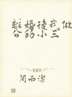 离婚后我做了老公的小三