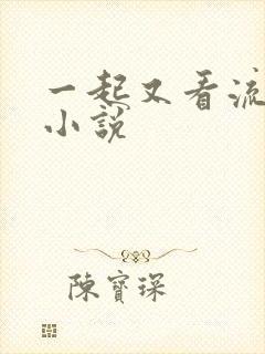 一起又看流星雨小说