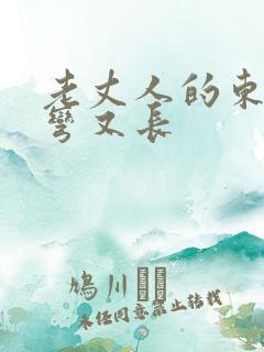 老丈人的东西又弯又长