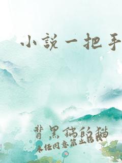 小说一把手