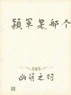 颖军是哪个军阀