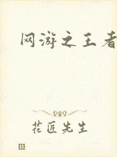 网游之王者天下