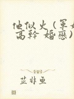 他似火 (军婚 高干 婚恋)