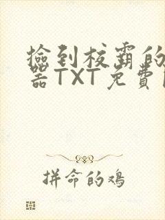 捡到校霸的遥控器TXT免费阅读