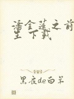 潘金莲之前世今生 下载