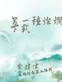 另一种灿烂生活下载