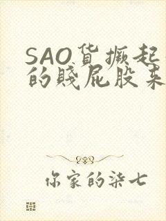 SAO货撅起你的贱屁股来