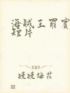 海贼王罗宾被h短片